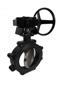 Carbon Steel Butterfly Valves Manufacturer in India