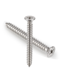 Stainless Steel Screw Manufacturer in India
