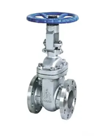 Stainless Steel Gate Valves Manufacturer in India