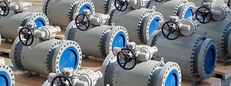 Stainless Steel Valves Manufacturer & Supplier in India
